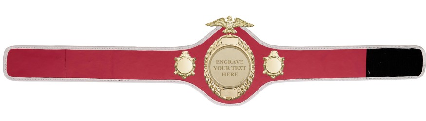 CHAMPIONSHIP BELT-PRO288/G/ENGRAVE - 10 COLOURS